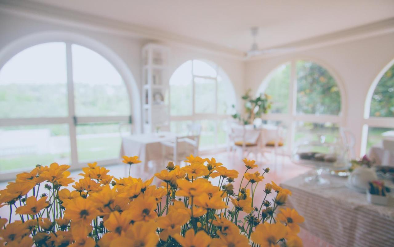 Al Gattosaggio Bed & Breakfast Монтекарло Екстериор снимка