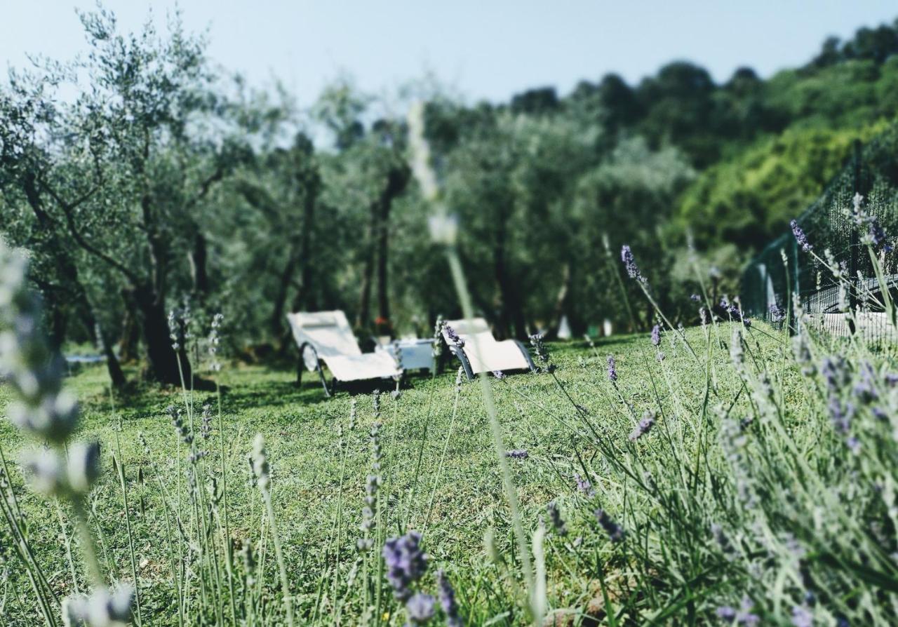 Al Gattosaggio Bed & Breakfast Монтекарло Екстериор снимка