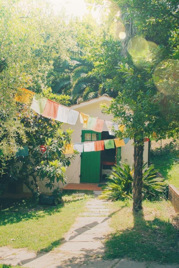 Al Gattosaggio Bed & Breakfast Монтекарло Екстериор снимка