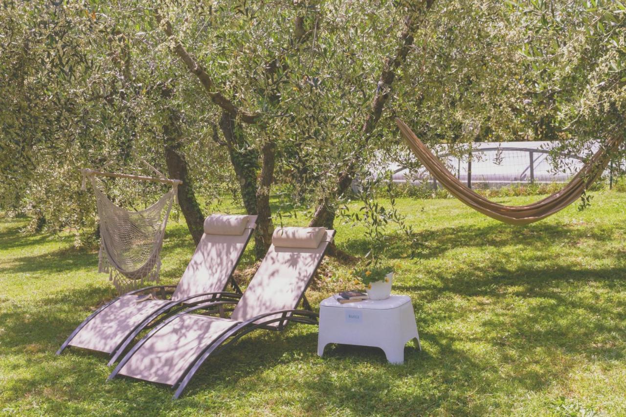 Al Gattosaggio Bed & Breakfast Монтекарло Екстериор снимка